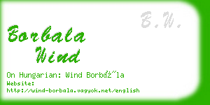 borbala wind business card